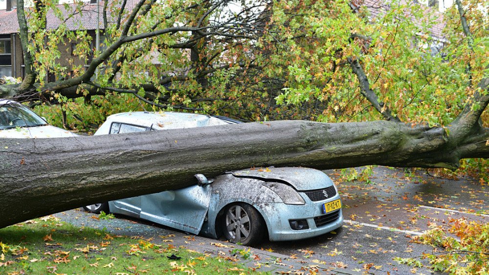 Stormschade