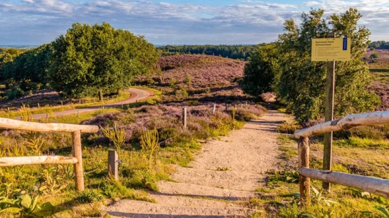 De veluwe 